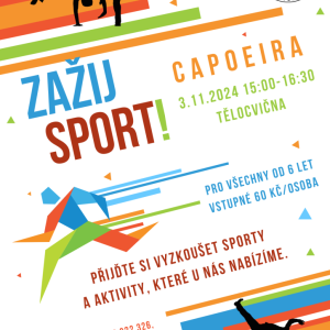 ZAŽIJ SPORT (capoiera)